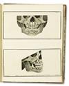 DENTISTRY  FOX, JOSEPH.  The Natural History of the Human Teeth.  1803